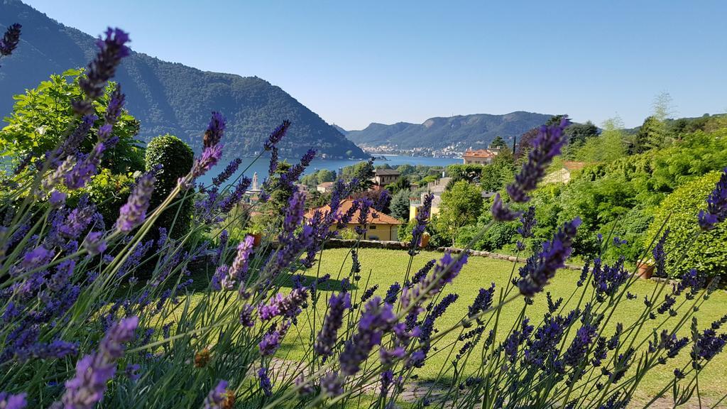 La Finestra Sul Lago Cernobbio Kültér fotó